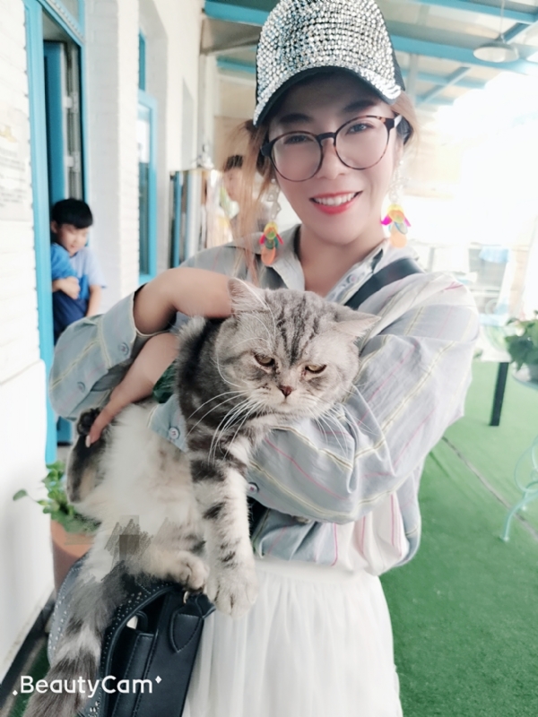 小黑猫的第一张照片--平和交友网