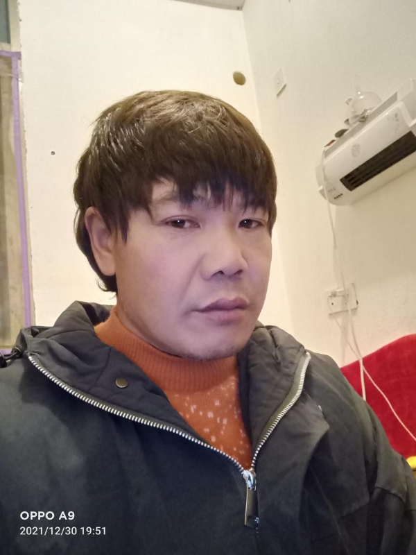 小鸟找窝的第一张照片--平和交友网