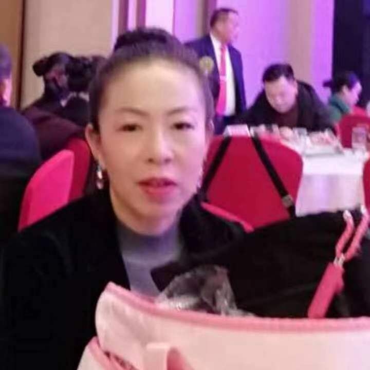 中秋桂花玉兔的第四张照片--平和交友网
