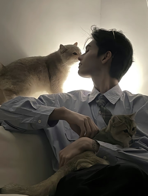 怪猫的第一张照片--平和交友网