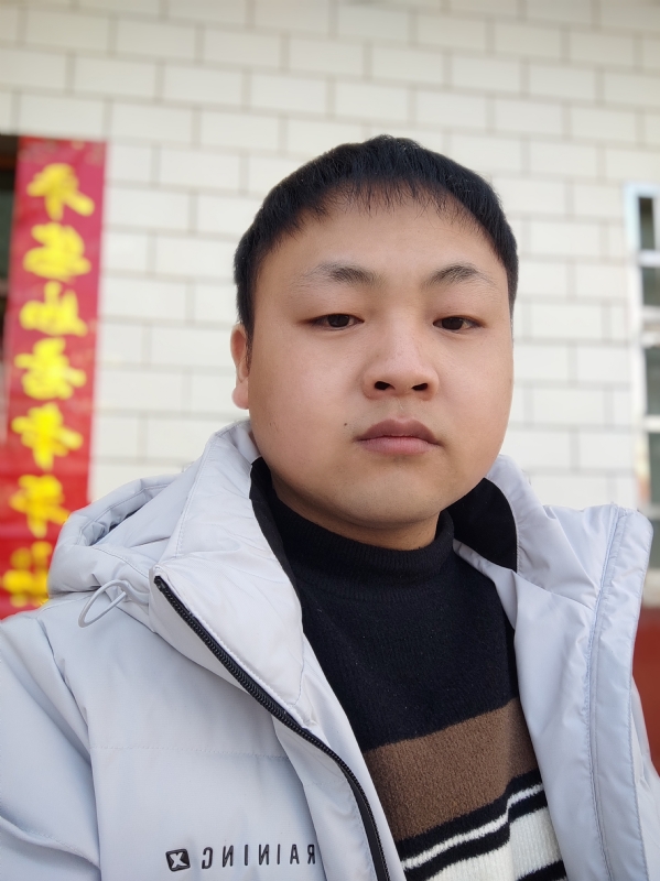 断翅的雄鹰的第一张照片--平和交友网