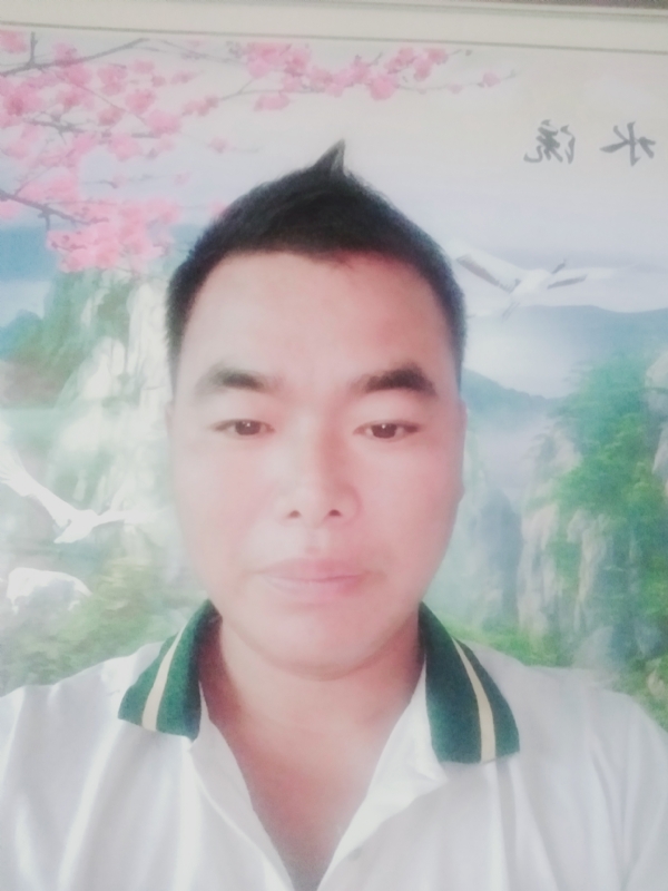 阳光男孩的第二张照片--平和交友网